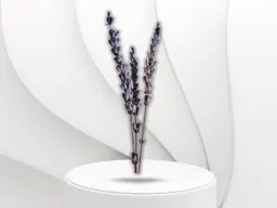 Dried lavender